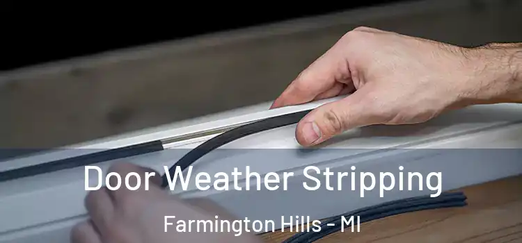  Door Weather Stripping Farmington Hills - MI