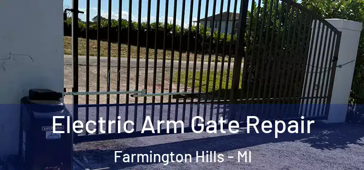 Electric Arm Gate Repair Farmington Hills - MI