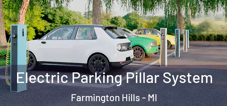  Electric Parking Pillar System Farmington Hills - MI
