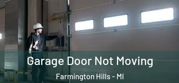  Garage Door Not Moving Farmington Hills - MI