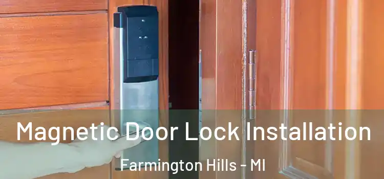  Magnetic Door Lock Installation Farmington Hills - MI